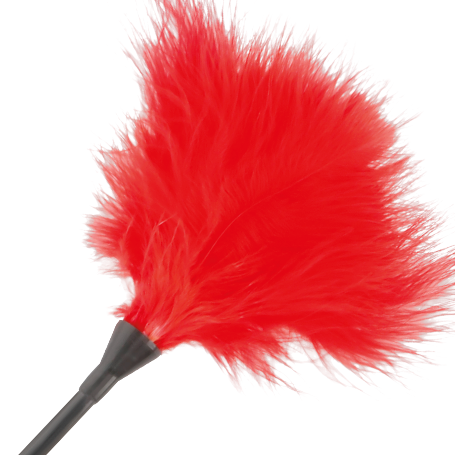 OBSCURITÉ - PLUME ROUGE STIMULANTE 42CM