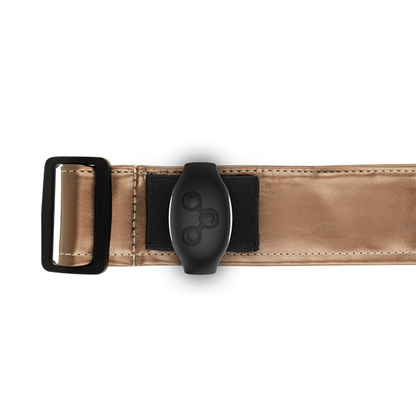 HARNAIS MYTHOLOGIE FANTASY - HARNAIS BRONZE S/M