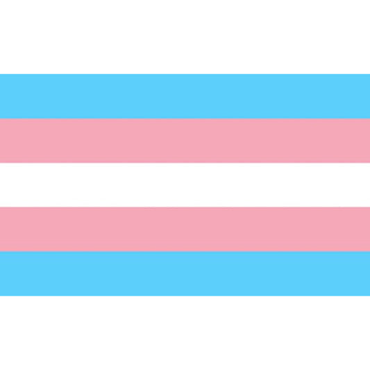 FIERTÉ - DRAPEAU TRANSEXUEL 90 X 150