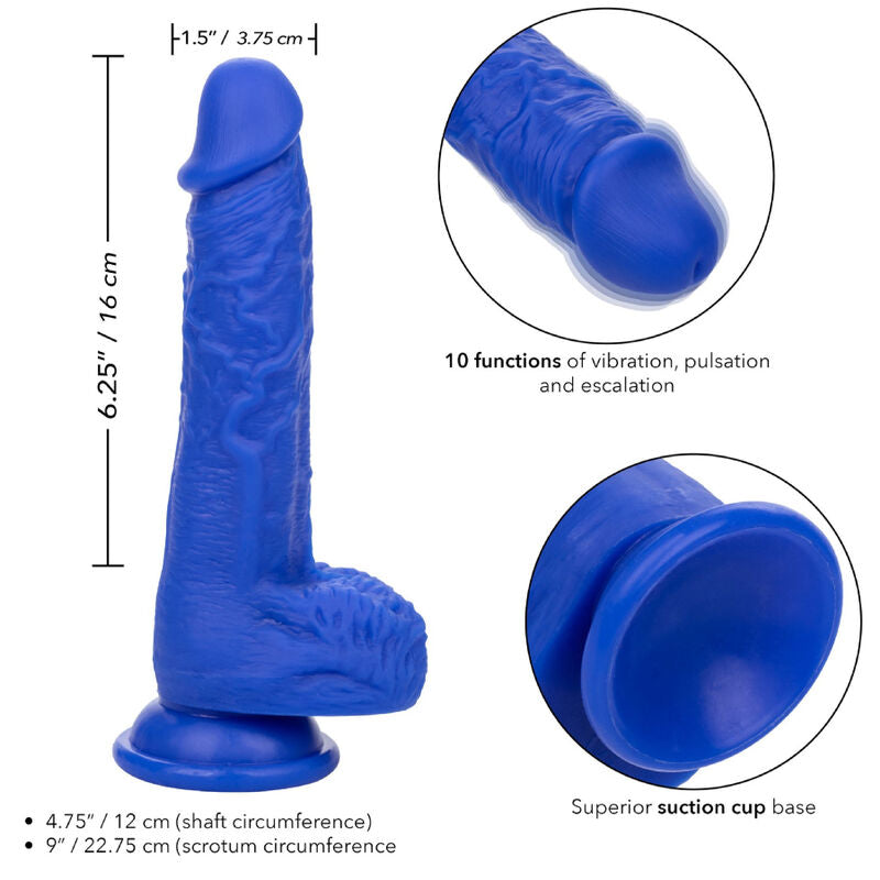 CALEXOTICS - ADMIRAL SAILOR VIBRATEUR DILDO RÉALISTE BLEU