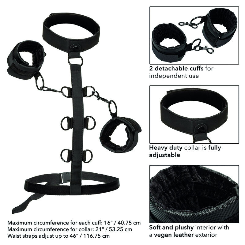 CALEXOTICS - BOUNDLESS COLLAR BODY RESTRAINT