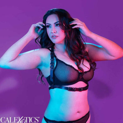 CALEXOTICS - EUPHORIA PLUS SIZE HALTER BUCKLE HARNESS BLACK