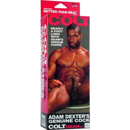 CALEXOTICS - POULAIN ADAM DEXTERS COCK